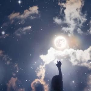 Meet your Posher, Donald